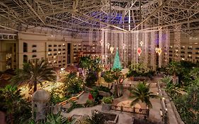 Gaylord Palms Resort & Convention Center  4*